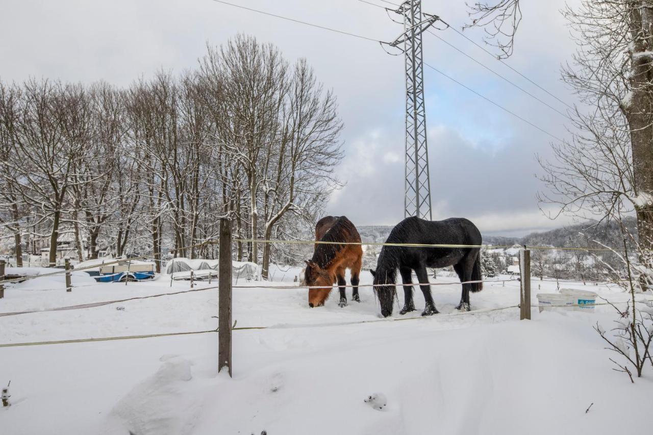 Venkovské apartmány Tiché pastviny Kamenicky Senov Esterno foto