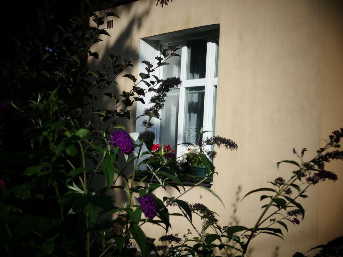 Venkovské apartmány Tiché pastviny Kamenicky Senov Esterno foto