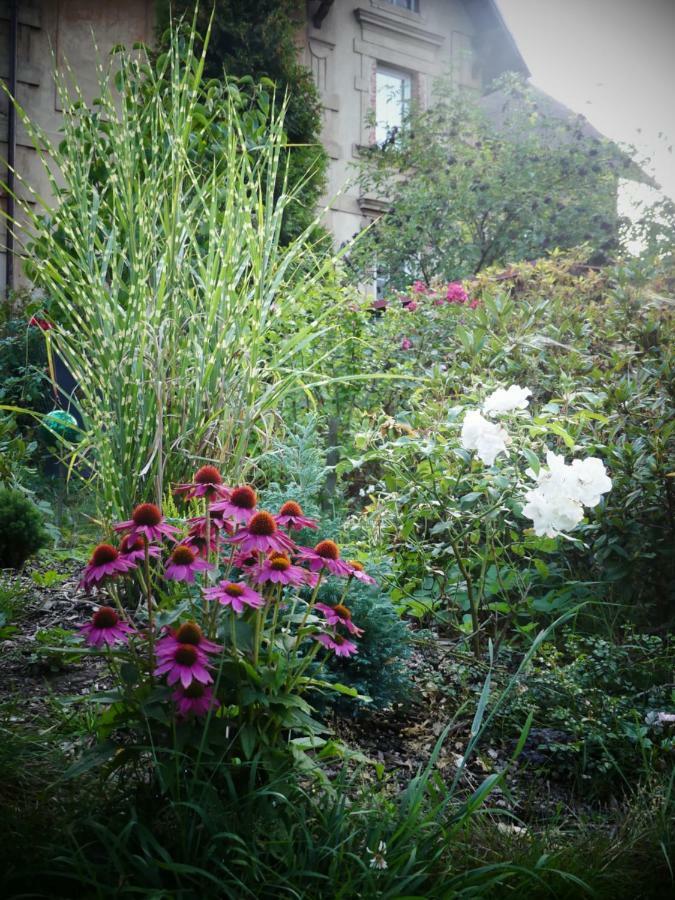 Venkovské apartmány Tiché pastviny Kamenicky Senov Esterno foto