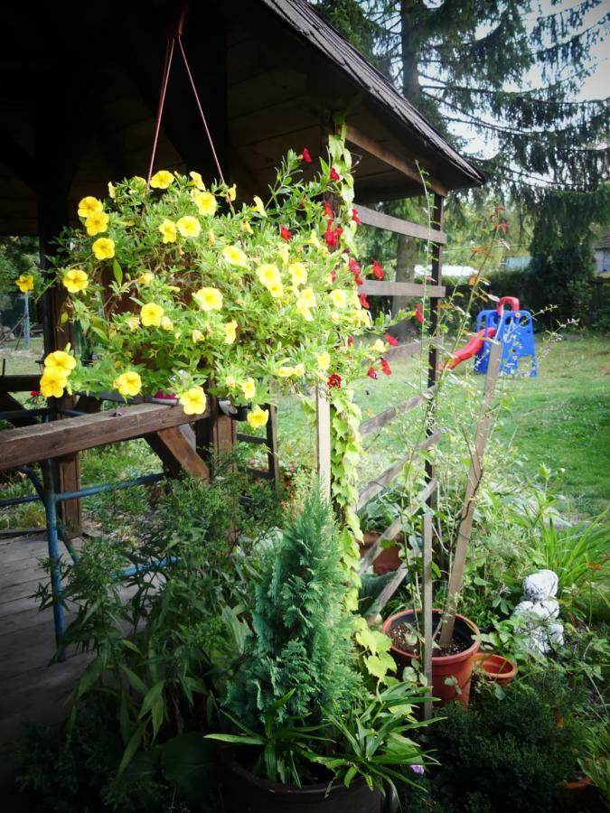 Venkovské apartmány Tiché pastviny Kamenicky Senov Esterno foto